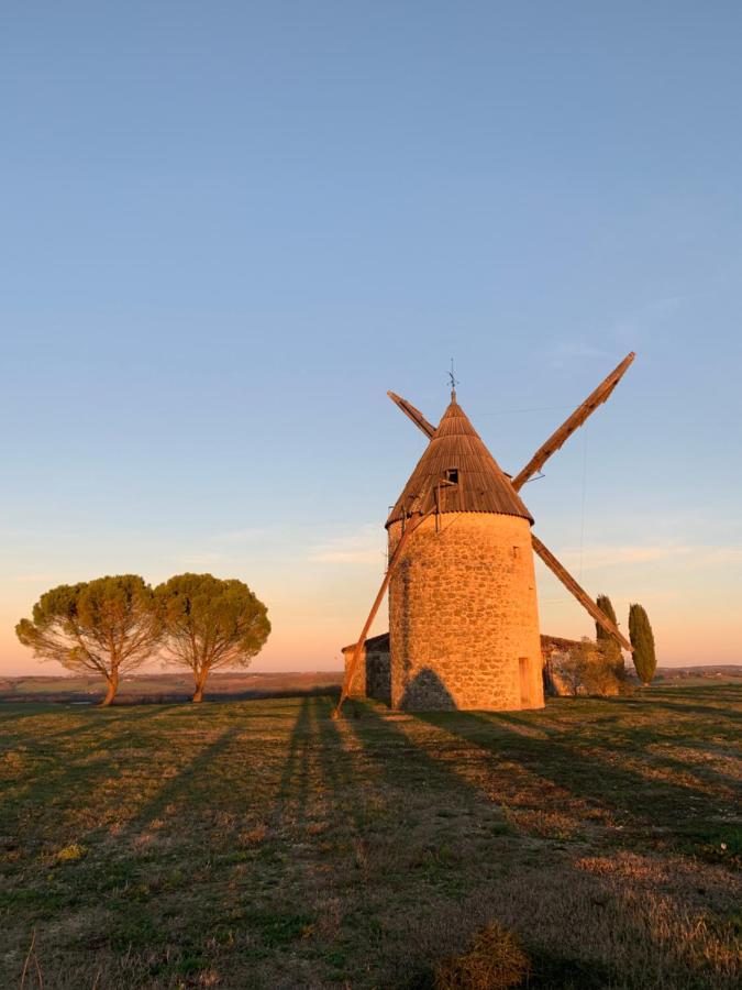 Gite De Charme En Pleine Campagne. Havre De Paix Βίλα Condom Εξωτερικό φωτογραφία